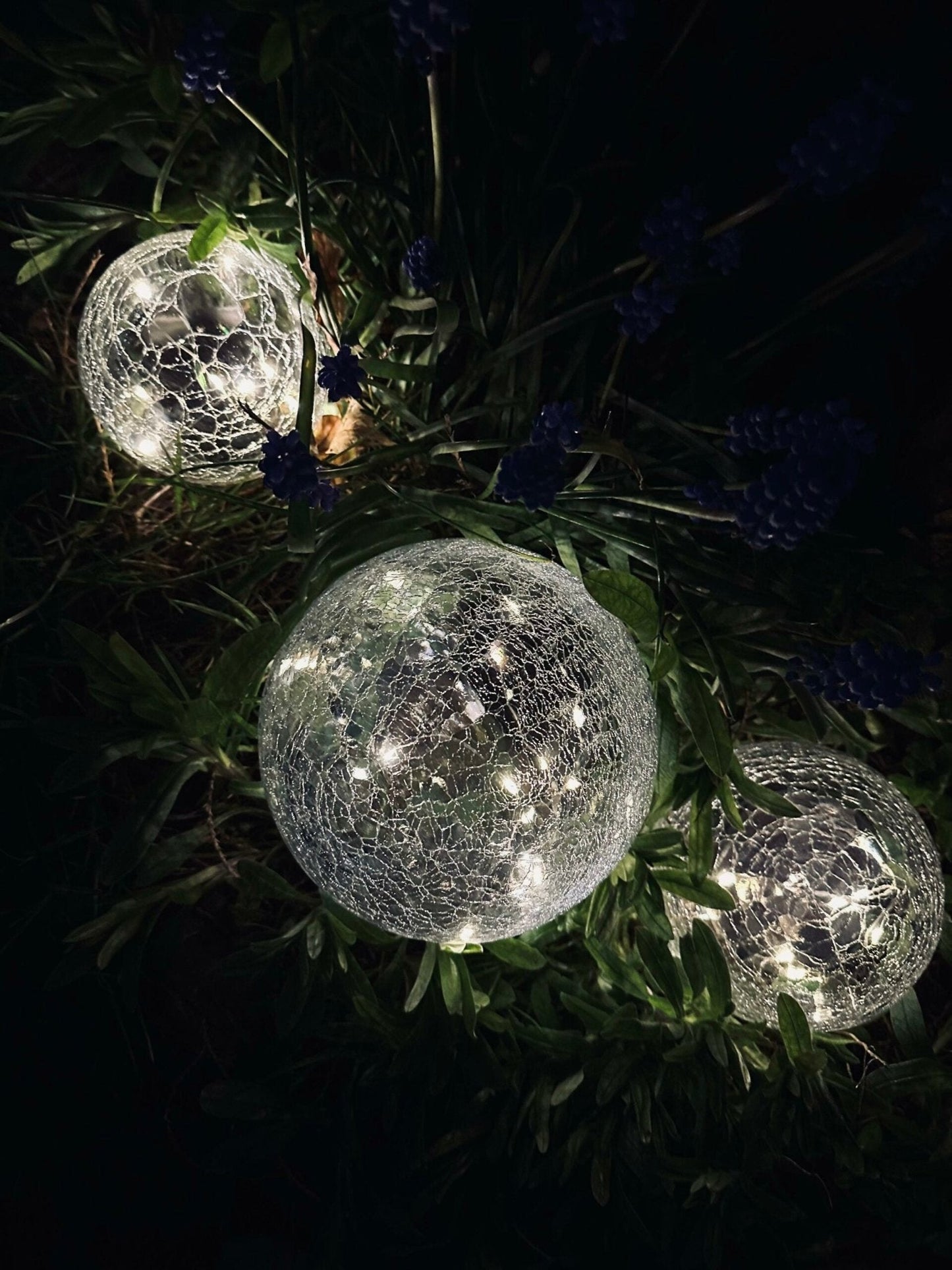 Boules en verre à LED solaires