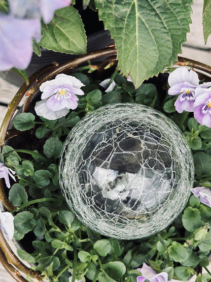 Boules en verre à LED solaires